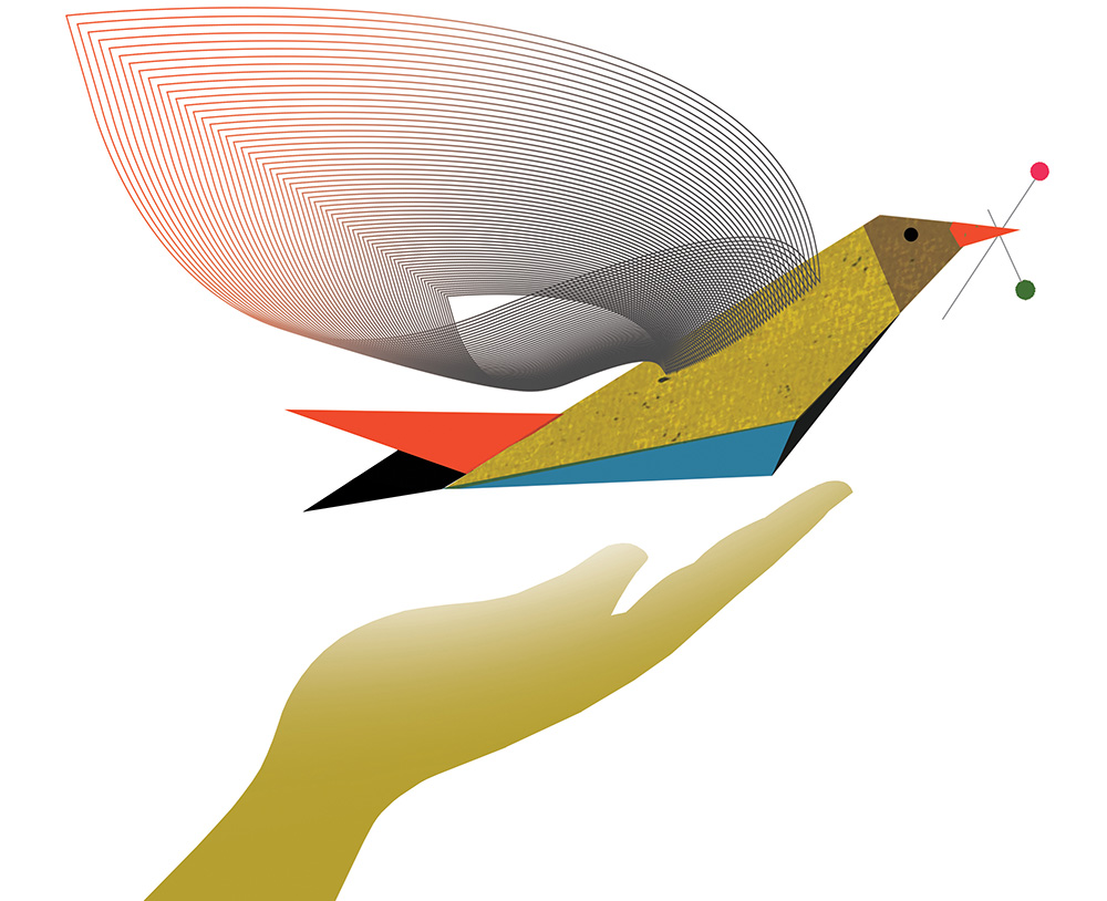 Bird